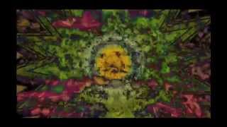 Circularity of life