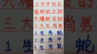 11月中旬后，偏财旺，正财兴，横财发的生肖男 #music #生肖 #生肖运势