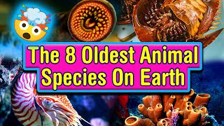 The 8 oldest animal species on Earth