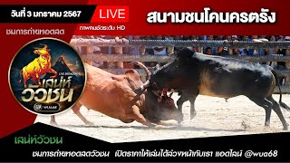 🔴 ถ่ายทอดสดวัวชน สนามกีฬาชนโคนครตรัง วันที่ 3 มกราคม 68 #ดูวัวชน #วัวชน #วัวชนตรัง