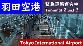 緊急事態宣言中の羽田空港／第2ターミナル・第3ターミナル国際線