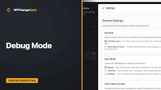Debug Mode — WPChangeSync