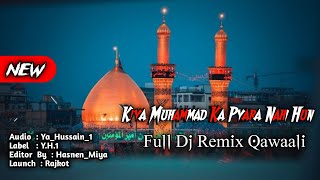 Kiya Muhammad Ka Pyara Nahi Hun - Ali Shanawar & Ali Jee - Full Dj Remix - Noha - Muharram Special