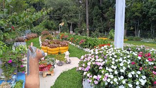 I planted the flowers I got! Tour of the garden, green grass!