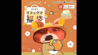 【タイムワイプ】リラックマ2025福袋がロッテリアで発売！ #リラックマ #ロッテリア #rilakkuma #lotteria #timewarpscan