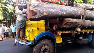 Tata 1616 Hevy load,.... കൊമ്പനെ നാട്ടുകാർ തളച്ചു കൊണ്ട് പോകുന്നു