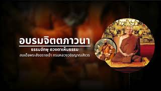 อบรมจิตตภาวนา: ธรรมจักษุ ดวงตาเห็นธรรม