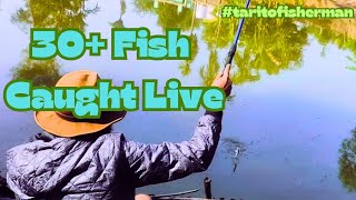 Ultimate Epic Mullet/Pohala/Bata Fishing Action  | 30+ Fish in Just 2 Hours! #FishingAdventure