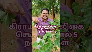 கிராமத்து மூலிகைகள் -  பகுதி 1!! #dr #tips