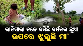 ରାତିସାରା ତଳେ ବସିଛି ବର୍ଷକର ଛୁଆ ଉପରେ ଝୁଲୁଛି ମା'  || Ganjam Kabisuryanagar || Odisha Reporter