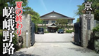 【京都おすすめ】気まぐれ散歩 嵯峨野路【京のココ見といやす】【京都観光旅行】