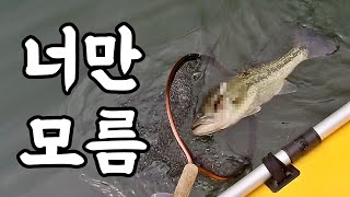 아는 사람만 쓰는 배스낚시 비밀병기 반드시 잡히는 필살 채비