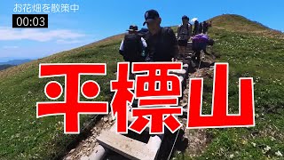 【たまには高山編】平標山は梅雨間の快晴　お花畑は人で満開　2023/6/17