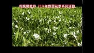 相見馨牡丹   2014野薑花季系列活動10秒CF