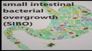 small intestinal bacterial overgrowth(SIBO)