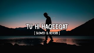 Tu Hi Haqeeqat [Slowed+Reverb] - Javed Ali |Tum Mile | Musical Raptors