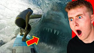 Top 10 CRAZIEST Things Caught on GoPro!