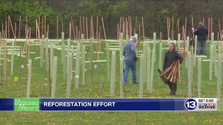 Metroparks Meetup: 15,000 trees being planted in 6 Metroparks