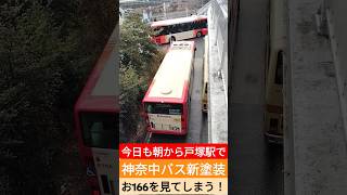 今日も朝から戸塚駅で神奈中バス新塗装お166を見てしまう！