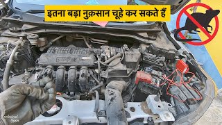 🐀Alto से Audi तक चूहों से protection