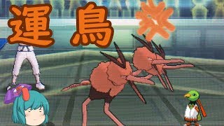 【ポケモンUSUM】ドードリオとかいうめっちゃ運ゲーな鳥【ゆっくり実況】