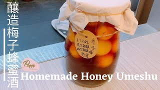 釀製梅子蜂蜜酒 I Homemade Honey Umeshu (Honey Plum Wine)