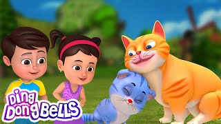 Ek Billi Hamari | एक बिल्ली हमारी | Hindi Rhymes For Children | Ding Dong Bells