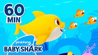 Baby Shark Doo Doo Doo 60 Min | +Compilation | Baby Shark Remix | Baby Shark Official