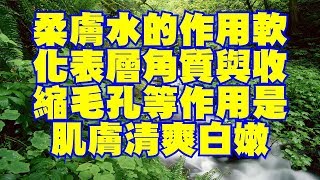 柔膚水的作用軟化表層角質與收縮毛孔等作用是肌膚清爽白嫩