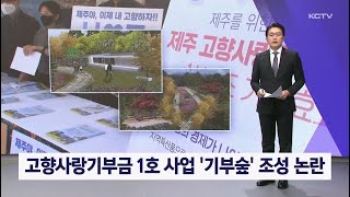 고향사랑기부금 1호 사업 '기부숲' 조성 논란