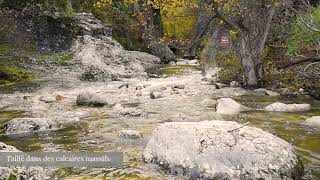 Géosites du Luberon : les gorges d'Oppedette