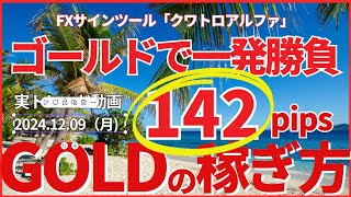 【簡単な一日】進化したFXサインツール「クワトロアルファ」をつかった実トレード動画。ゴールドで１回だけ勝負。それまでトレードできなくてくやしい思いをしていました。2024.12.09