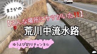 【こんな場所にヤツがいた‼️】荒川中流用水路