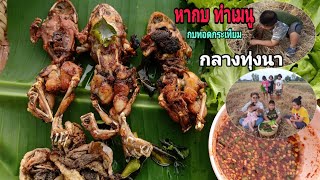 กบทอดกระเทียม หากบ ทำเมนูกินกลางทุ่งนา