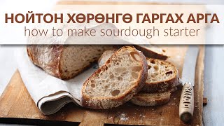 Нойтон хөрөнгө гаргах арга | How to make sourdough starter