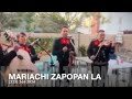 paloma negra mariachi zapopan la