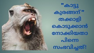 കാട്ടു കുരങ്ങന് തക്കാളി കൊടുക്കാൻ നോക്കിയതാ....  wild monkey attack people in kerala🐒