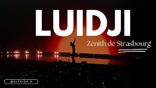 Je vais voir Luidji au zénith de Strasbourg I Vlog I nov.2024