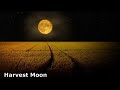 harvest moon