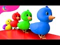 Five Little Ducks | Kids Songs | BluLoo Nursery Rhymes & Kids Songs