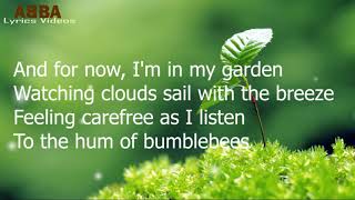 Abba- Bumblebee Lyrics video