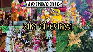 Chalilu ame gharaku||Bulijiba melana#odiavlog #jayshreemohantyvlogs