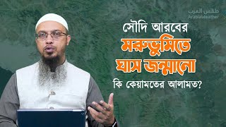 সৌদি আরবের মরুভুমিতে ঘাস জন্মানো কি কেয়ামতের আলামত?