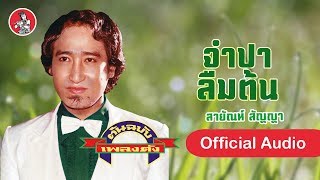 จำปาลืมต้น - สายัณห์ สัญญา  [Official Audio]