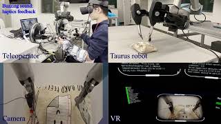 Tactile and Chemical Sensing With Haptic Feedback for a Telepresence Explosive Ordinance Disposal Ro