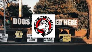 Brighton Council Ban Greyhound Racing Outreach