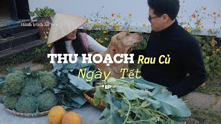 Vlog #03 - Thu hoạch rau củ ngày tết | Chúng mình thật giàu có |