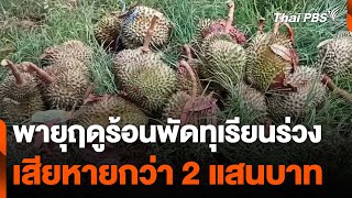 พายุฤดูร้อนพัดทุเรียนร่วง เสียหายกว่า 2 แสนบาท | ข่าวเที่ยง ไทยพีบีเอส | 6 พ.ค. 67