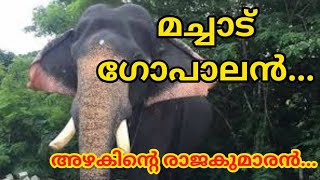 മച്ചാട് ഗോപാലൻ || Machadu Gopalan||..@JoshsKitchenvlogs