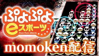 vsマッキー【ぷよぷよeスポーツ】